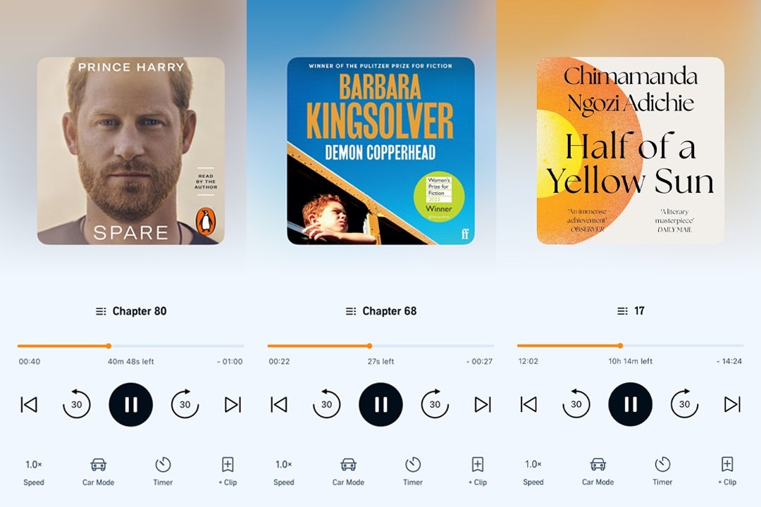 Some of the books I listened to for this review
