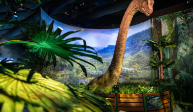 6 Things To Do In London With The Dinosaur Lover In Your Life