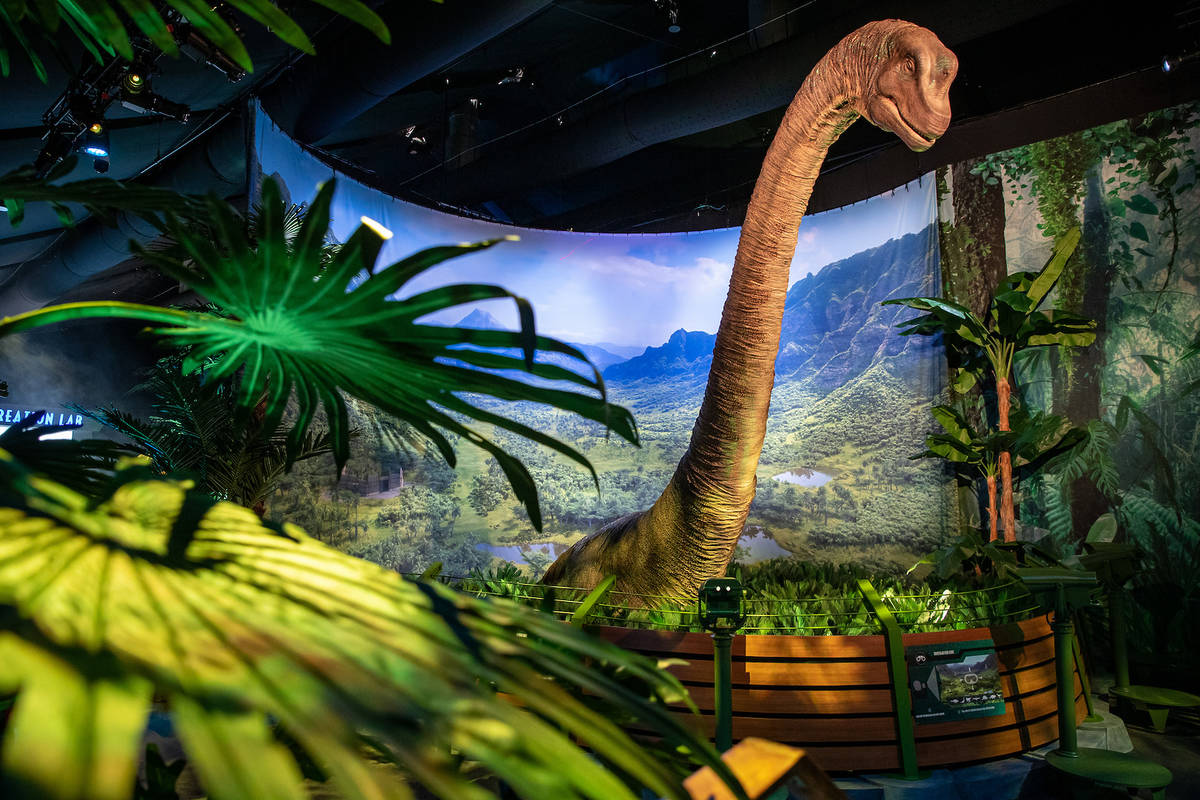 6 Things To Do In London With The Dinosaur Lover In Your Life