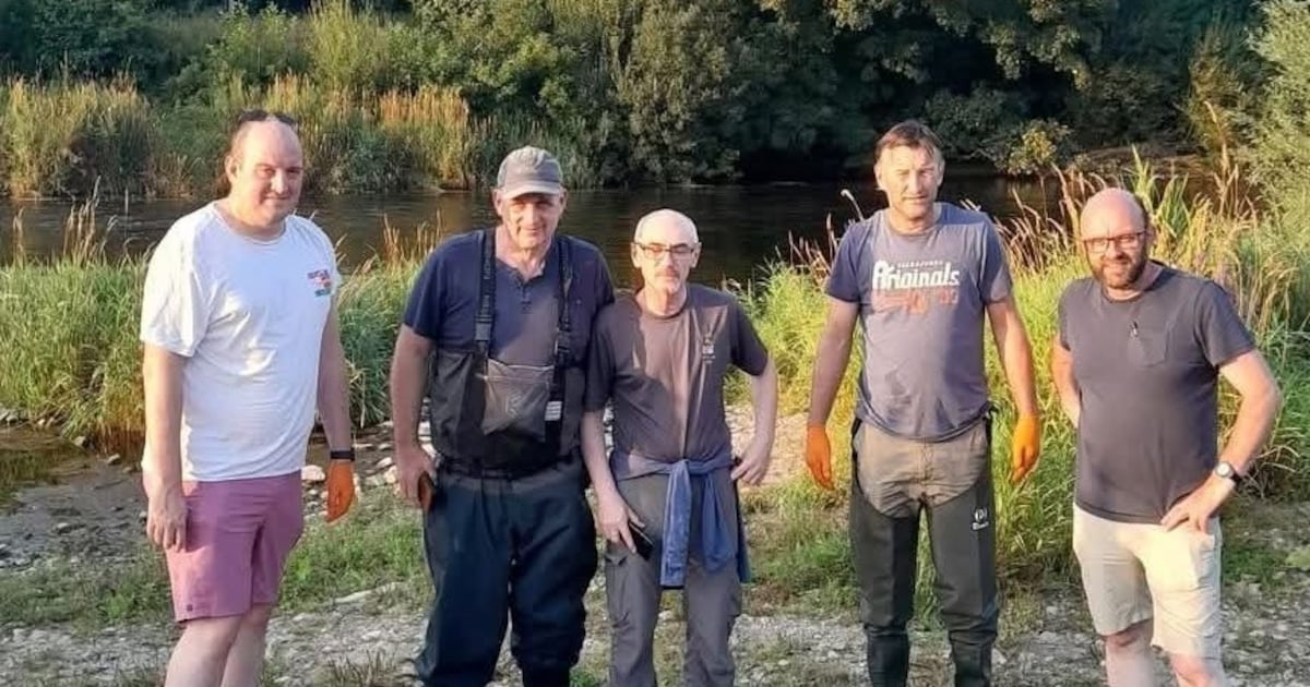 Blackwater mass fish kill confirmed as due to pollution incident – The Irish Times
