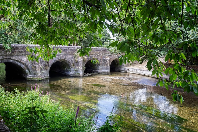 Chalk streams have clear, flowing water fed from underground chalk aquifers and springs