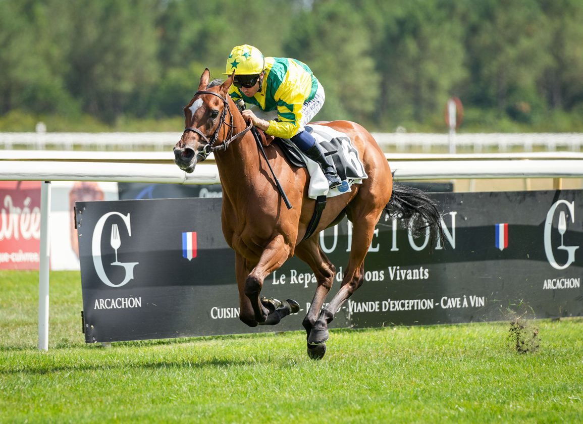 Millkom Tests Sophomore Milers In France
