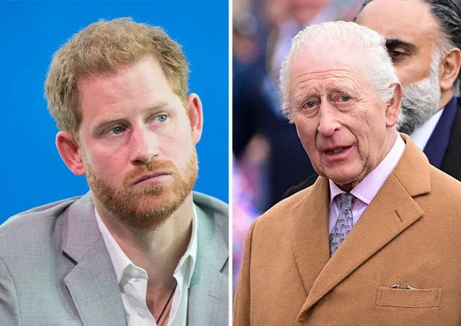 king charles prince harry