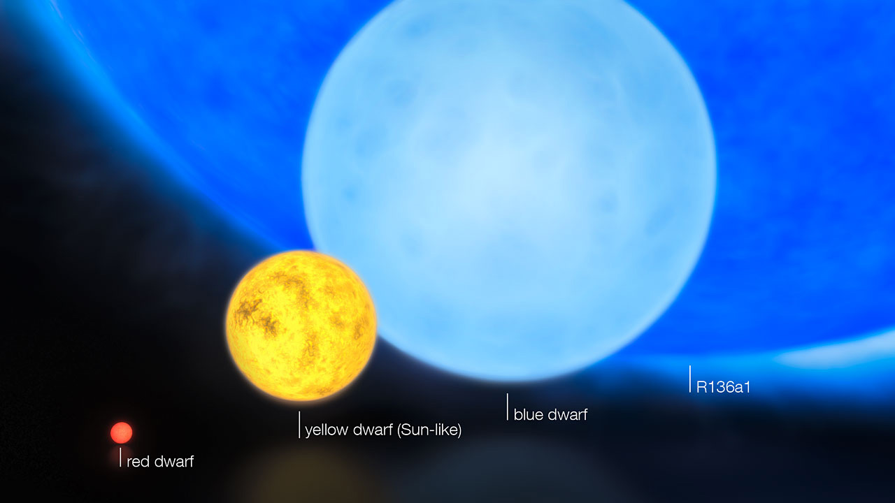 This artist's impression shows the relative sizes of young stars, from the smallest red dwarfs, weighing in at about 0.1 solar masses, through to the 300 solar mass star named R136a1.