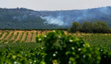 A heat wave is gripping Europe, fuelling wildfires and forcing evacuations