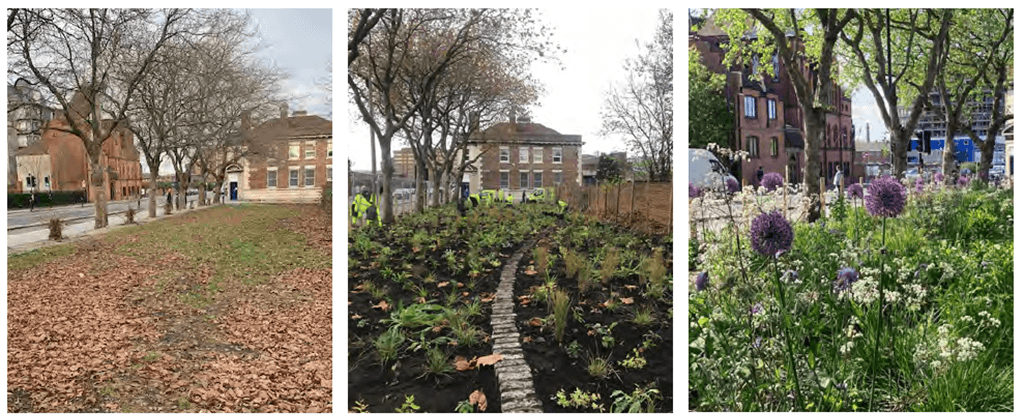 Liverpool hailed as global leader in urban green infrastructure