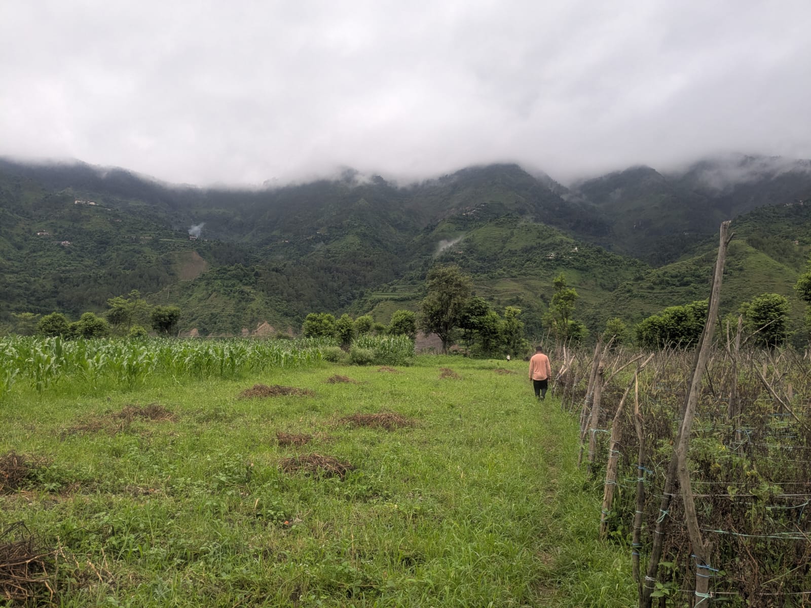 Land for farming is limited and property dispute can deeply impact livelihood, say locals