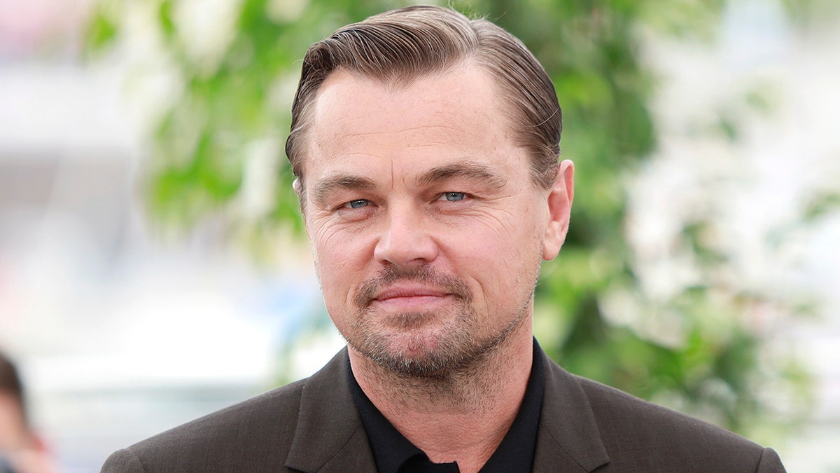 Leonardo DiCaprio smirks towards the camera wearing a brown jacket