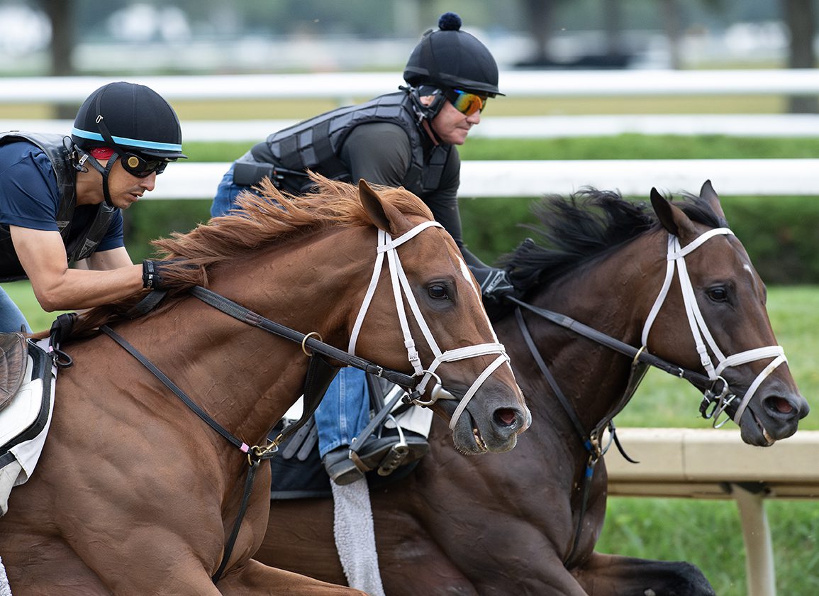 Fierceness a Late Nominee for $1M Pacific Classic, Nysos Works