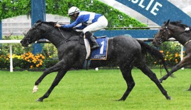 Horse racing: Grant Cooksley’s black beauty looks ready for season’s first feature