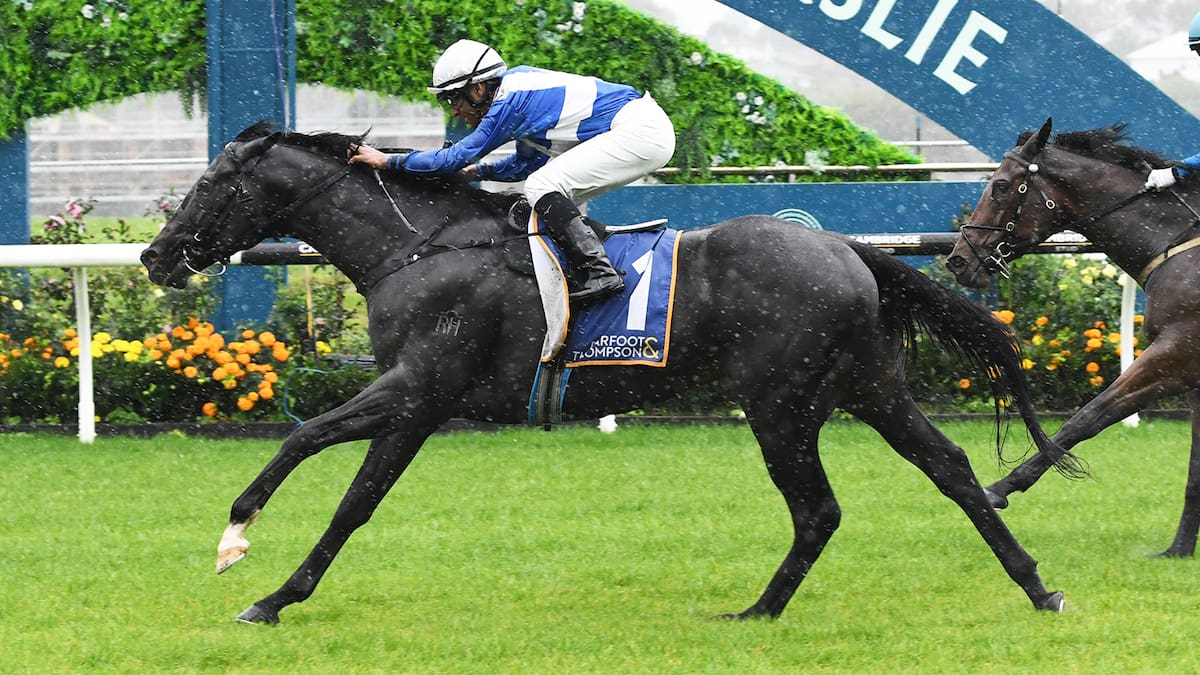 Horse racing: Grant Cooksley’s black beauty looks ready for season’s first feature