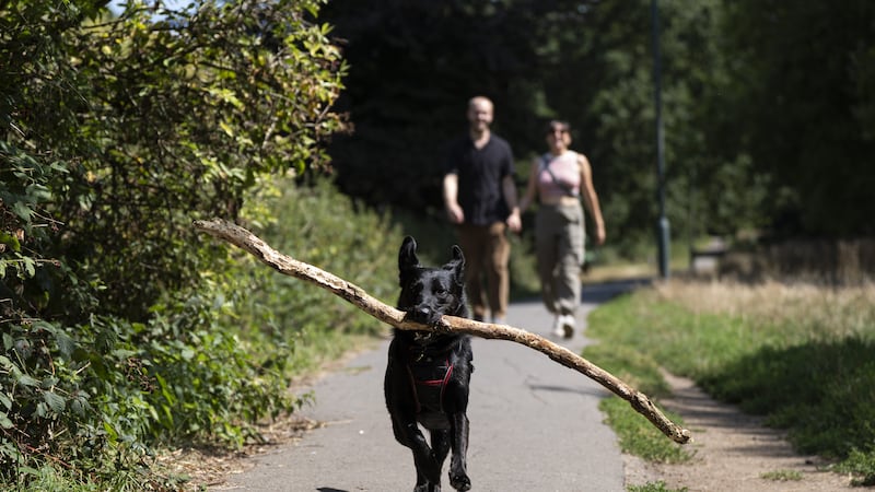Parts of UK forecast to hit 34C during fourth summer heatwave
