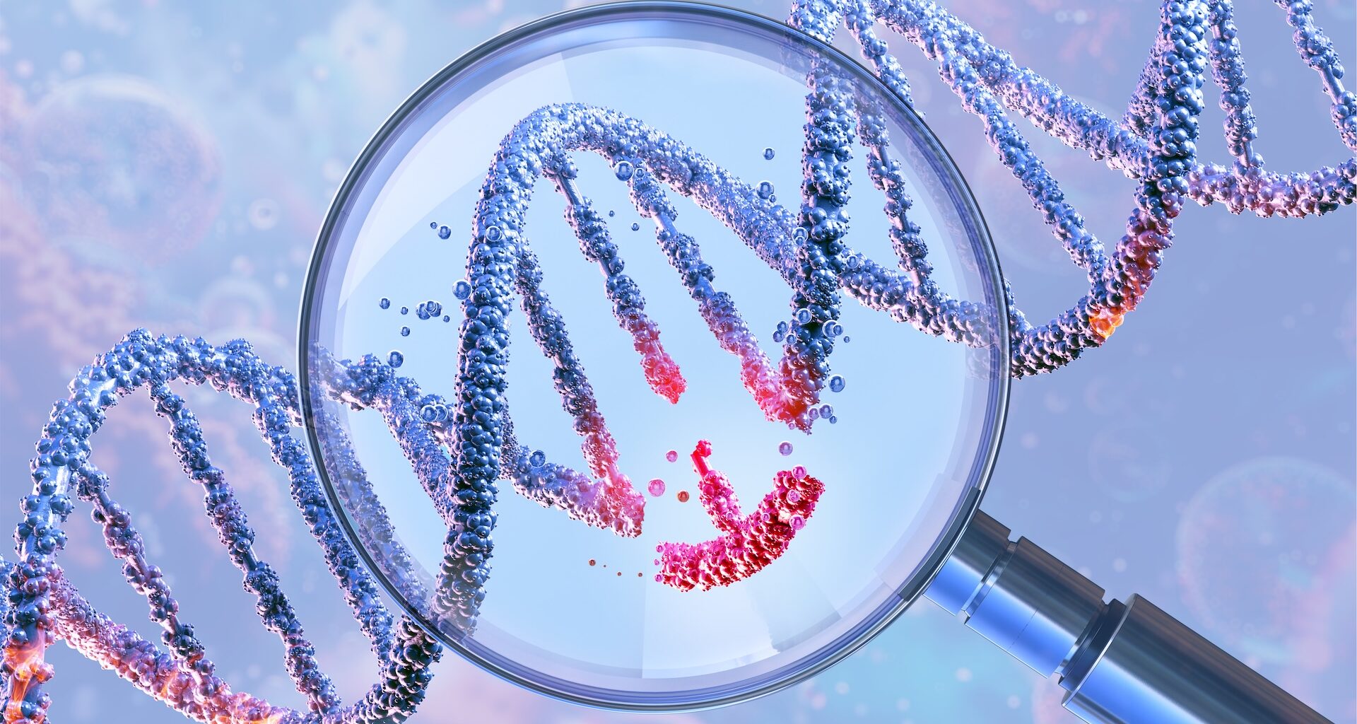 an illustration of a DNA double helix under a magnifying glass