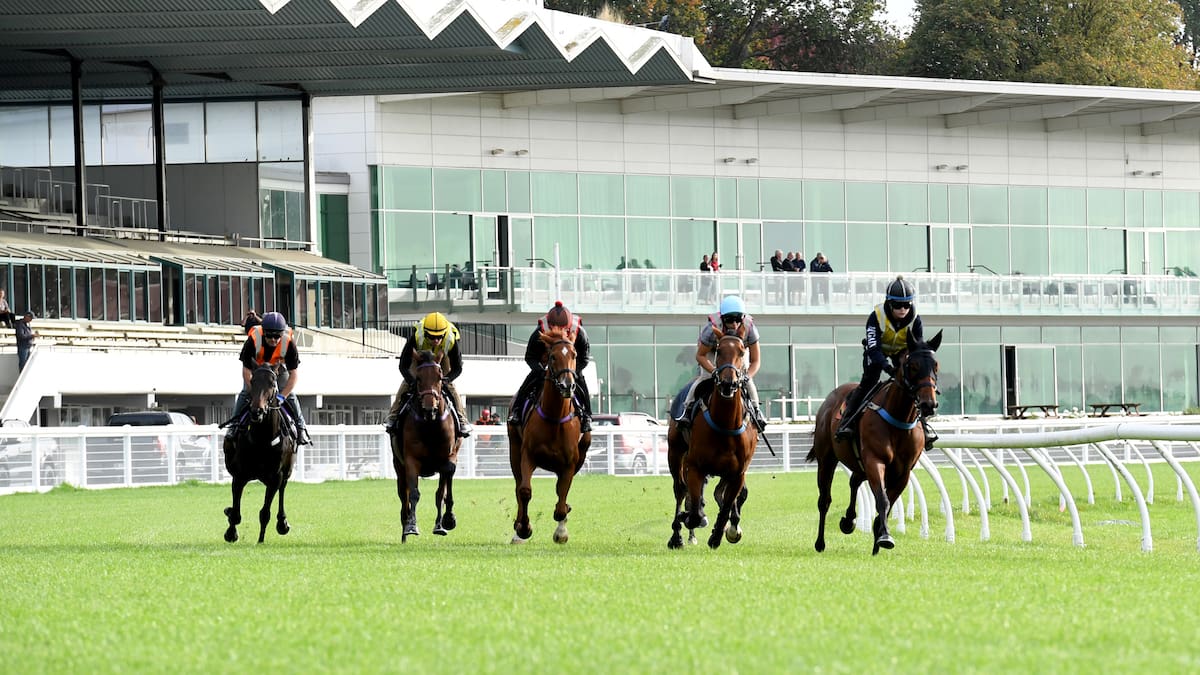 Awapuni loses meetings as grass track given more time to settle