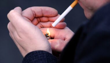 Smokers in Ireland will lose almost 5m years of life and cost health system €20bn, study finds – The Irish Times