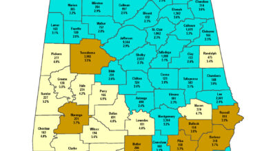 Alabama’s Labor Force Participation Rate Decreases Slightly  Employment at New Record High