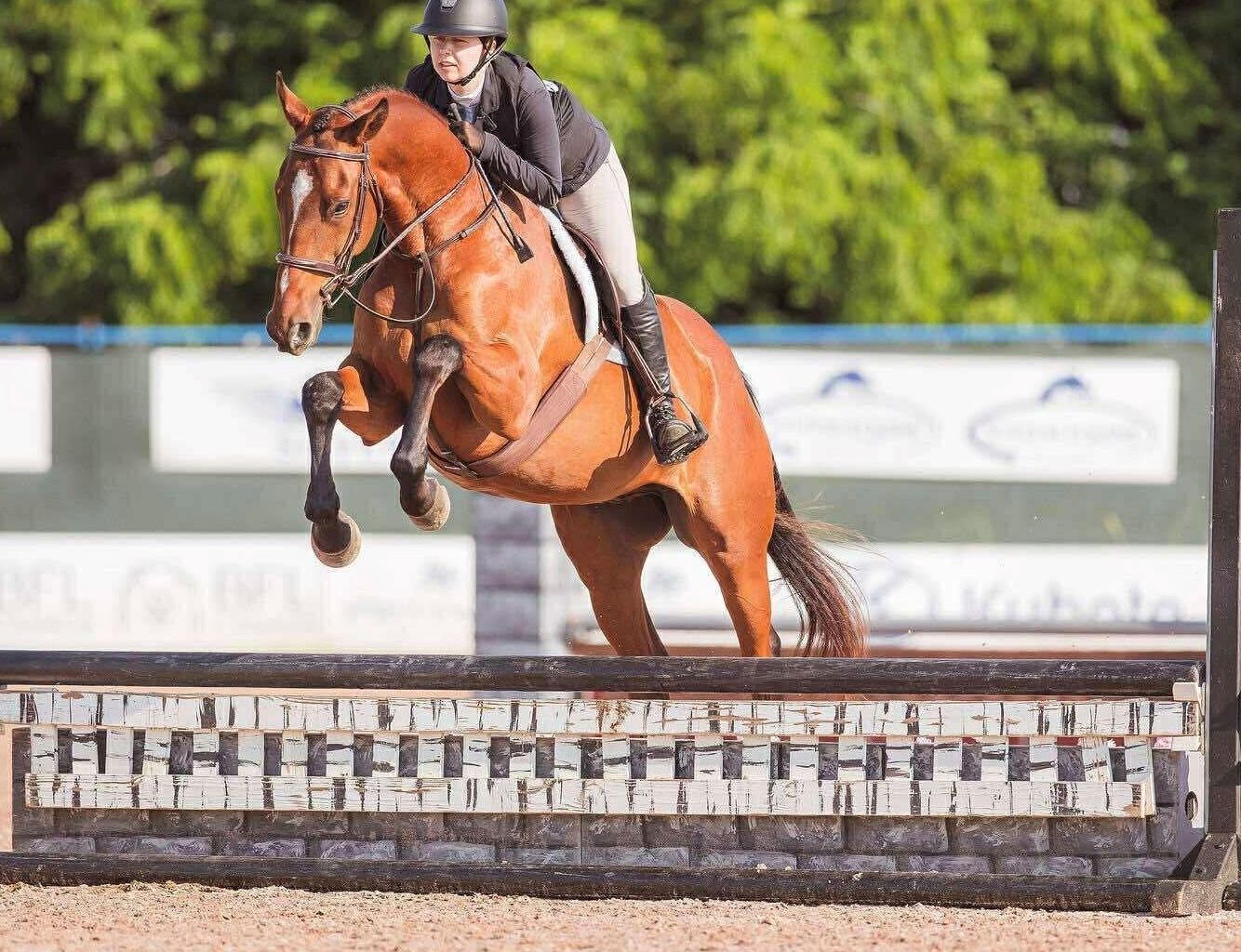 OTTB: Miriam's Sky (Blinky) - Woodbine Racetrack