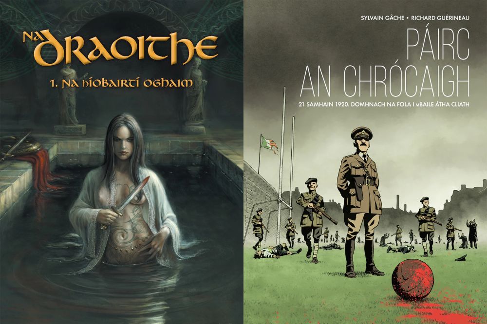 Welsh publisher reaches Irish Book of the Year shortlist