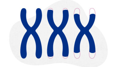 An illustration of three telomeres getting shorter