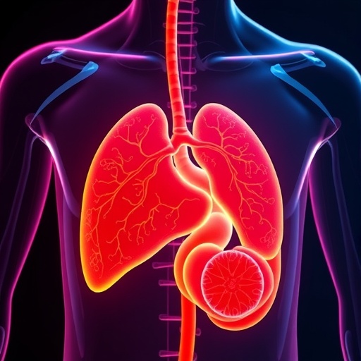 Optimizing Organ Transplants with AI and Genetics