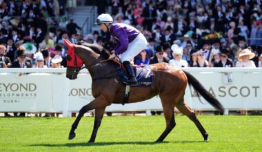 Friday’s Horse Racing Tips | Best Bets & Odds For Friday’s Racing