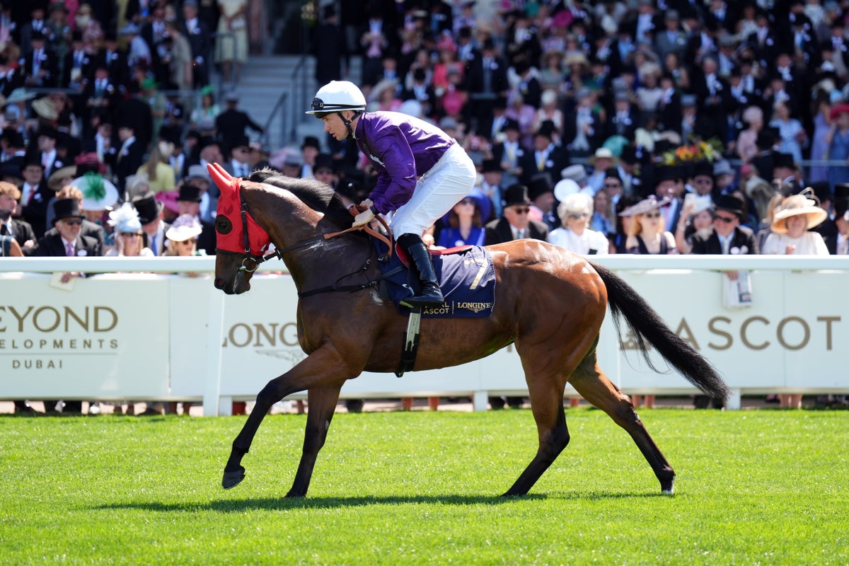 Friday’s Horse Racing Tips | Best Bets & Odds For Friday’s Racing