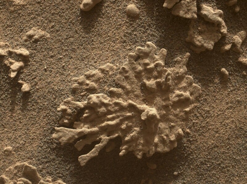 A close-up view of a textured, irregularly shaped rock formation on a sandy, granular surface, resembling a branching or coral-like pattern, photographed on Mars.
