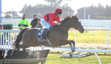 New stars of jumps racing light up Riccarton as Nationals loom