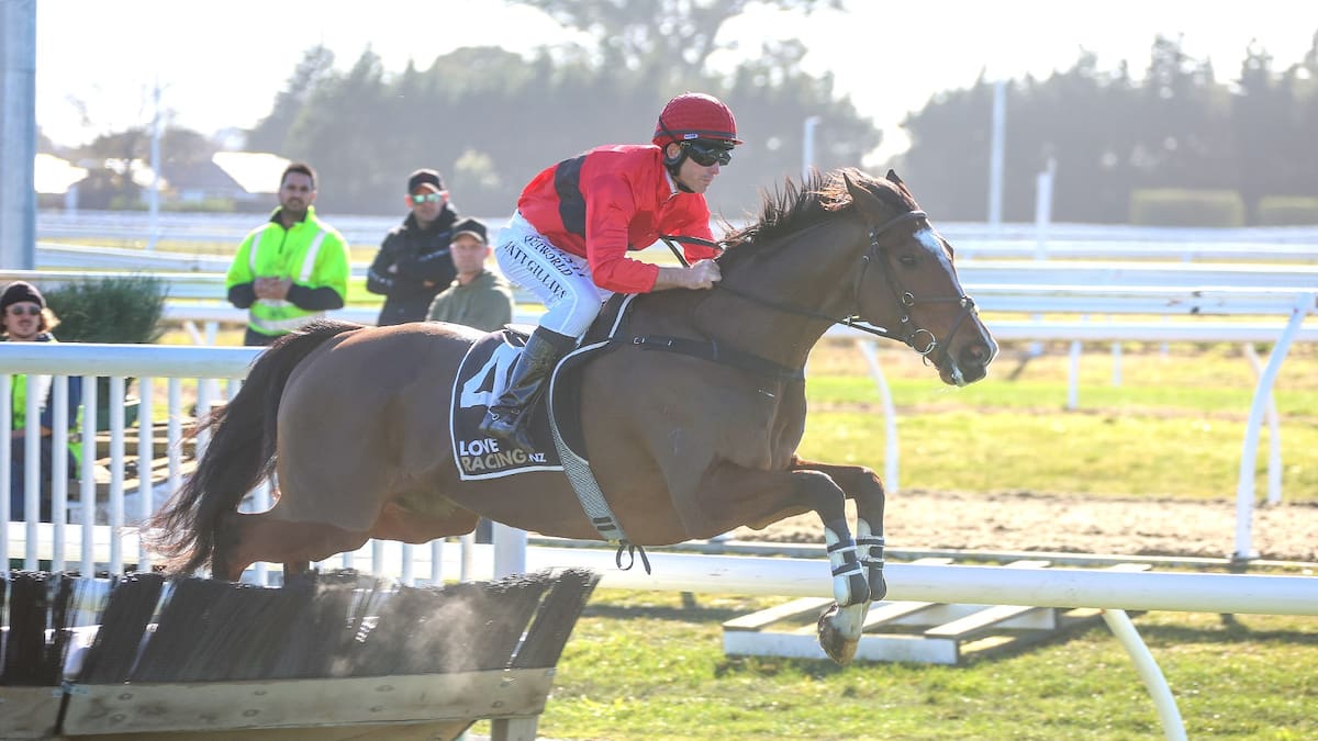 New stars of jumps racing light up Riccarton as Nationals loom