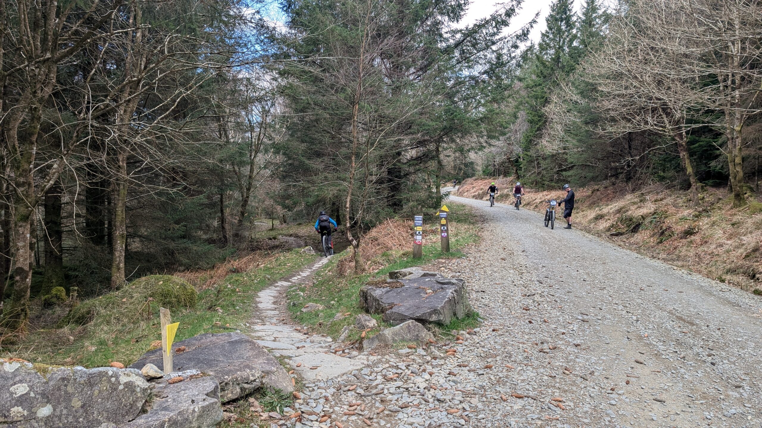 Coed y Brenin Enduro