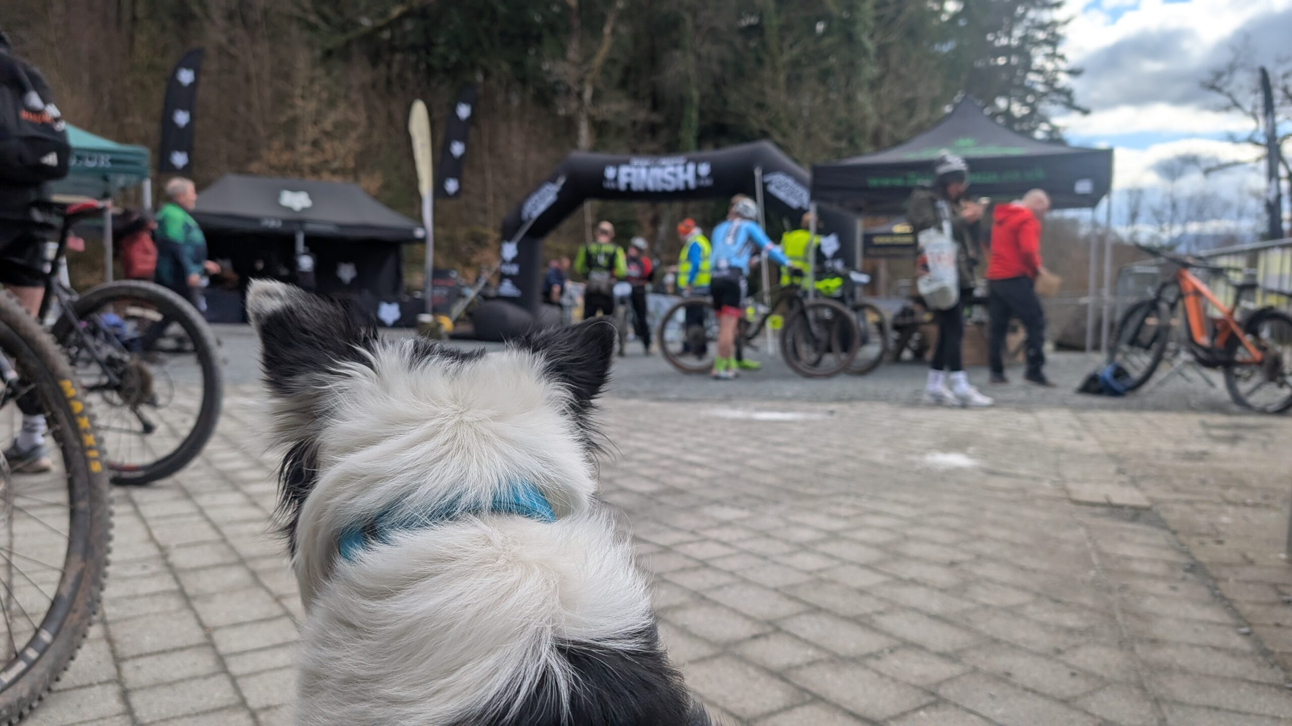Coed y Brenin Enduro