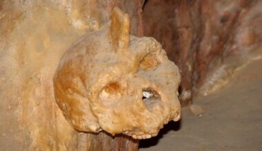 Mystery hominin skull discovered in 1960 dated to at least 286,000 years old