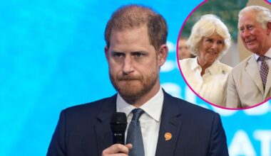 Royal Butler Contradicts Prince Harry's Stories of Charles and Camilla