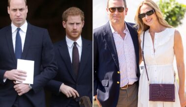 Will Prince Harry and Prince William Reunite at Their Cousin's Wedding?