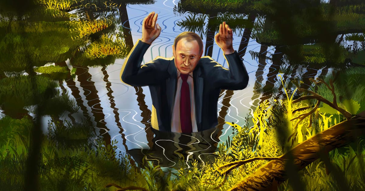 From Kyiv to the Suwałki Gap, bogs return as Europe’s defensive shield – POLITICO