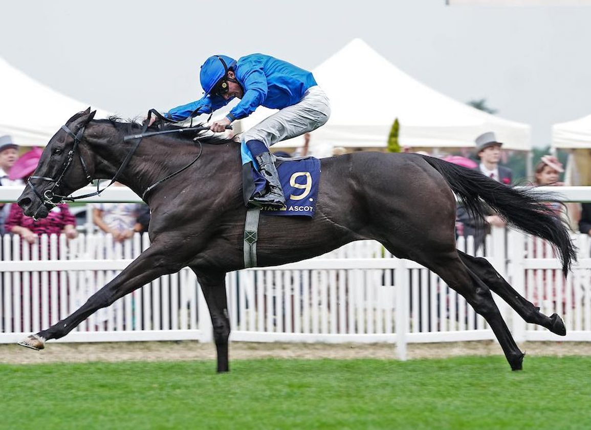 Rebel's Romance Returns To Germany In Preis Von Berlin
