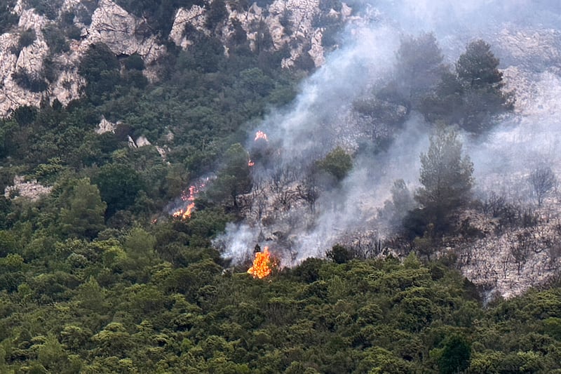 Trees burn on a hill near Durban-Corbières, southern France. Photograph: Hernan Munoz/AP