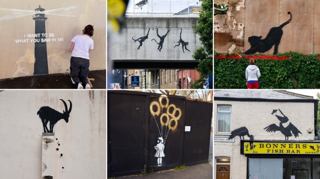 Pictures of Banksy's murals