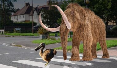 The woolly mammoth and a 30ft sea cow could all soon be back from the dead | News Tech