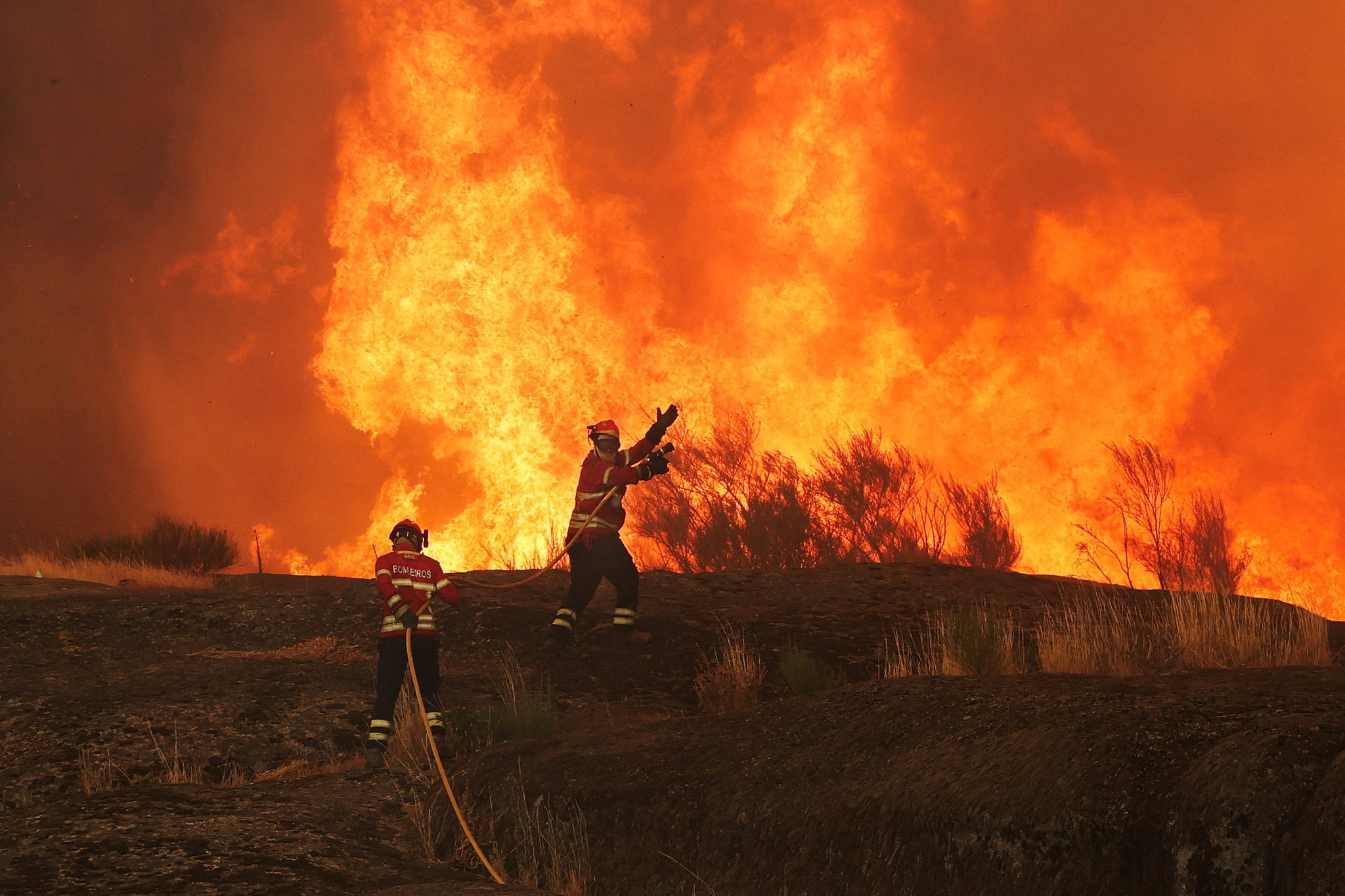 Firefighters work to extinguish a wildfire approaching Trancoso, Portugal, August 13, 2025