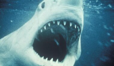 Jaws child star reveals staggering amount he earns 50 years after hit film