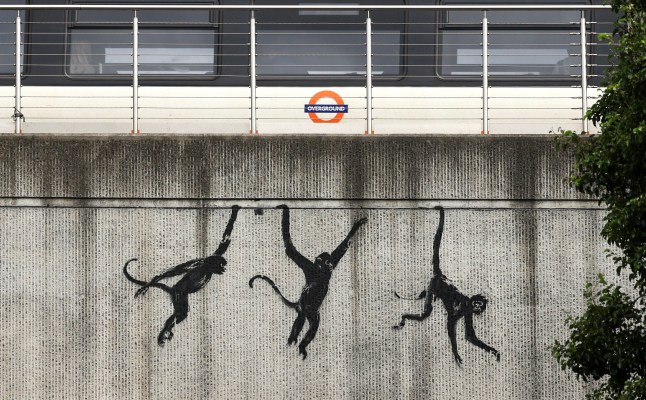 epaselect epa11536339 A new Banksy artwork featuring monkeys is seen on the side of an Overground rail bridge in Shoreditch, east London, Britain, 08 August 2024. British artist Banksy on 07 August released a third animal-themed artwork in the space of three days, in London. EPA/ANDY RAIN