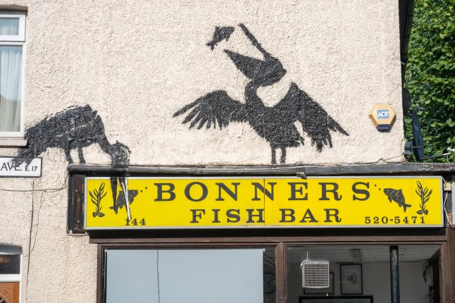 LONDON, UNITED KINGDOM - AUGUST 09: A view of the fifth new art mural by the artist Banksy after it has been unveiled on the outside a fish and chip shop in Walthamstow, North London. The new work depicts two pelicans in silhouette fishing in London, United Kingdom on August 09 2024 (Photo by Ray Tang/Anadolu via Getty Images)