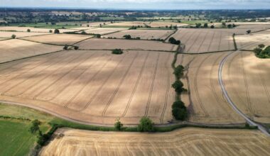 Fears food prices could go up this autumn after ‘unprecedented’ summer weather
