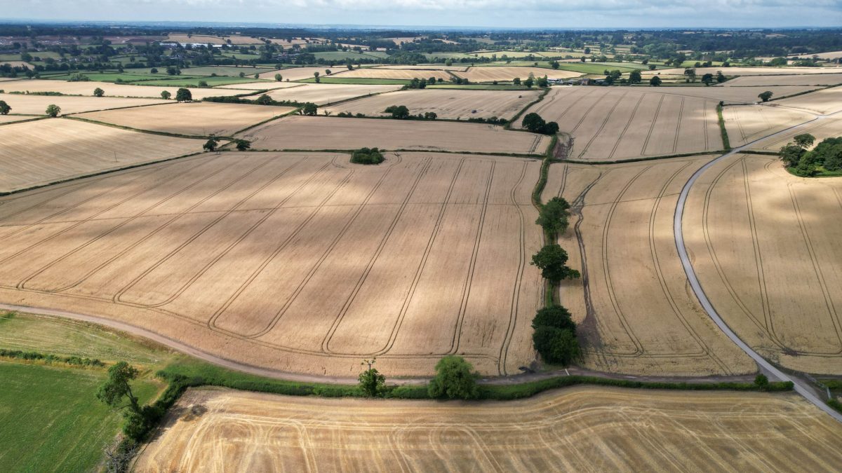 Fears food prices could go up this autumn after ‘unprecedented’ summer weather