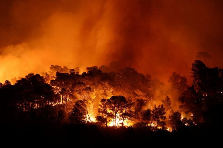 Trees burn during a wildfire near in Saint-Laurent-de-la-Cabrerisse, southern France, August 6, 2025. REUTERS/Abdul Saboor