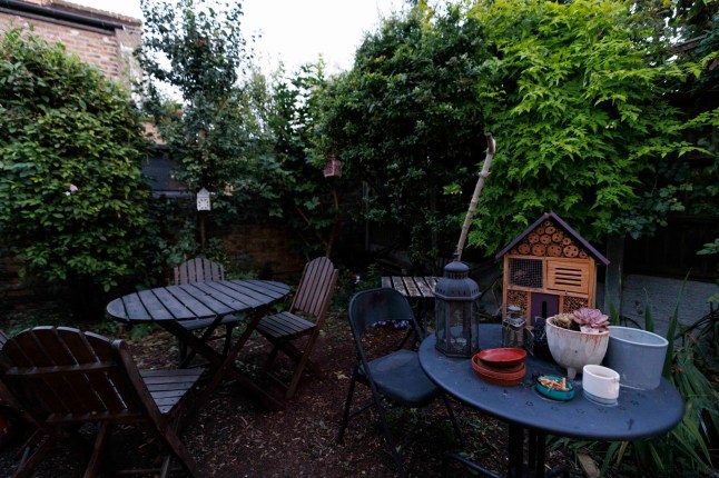 What I Rent - Archway. 18 Parolles Road N19 3RD Lilliane Teachen Pictured: Garden. (C) Belinda Jiao 07598931257 jiao.bilin@gmail.com