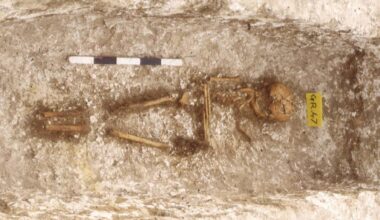 DNA analysis reveals West African ancestry in early medieval England