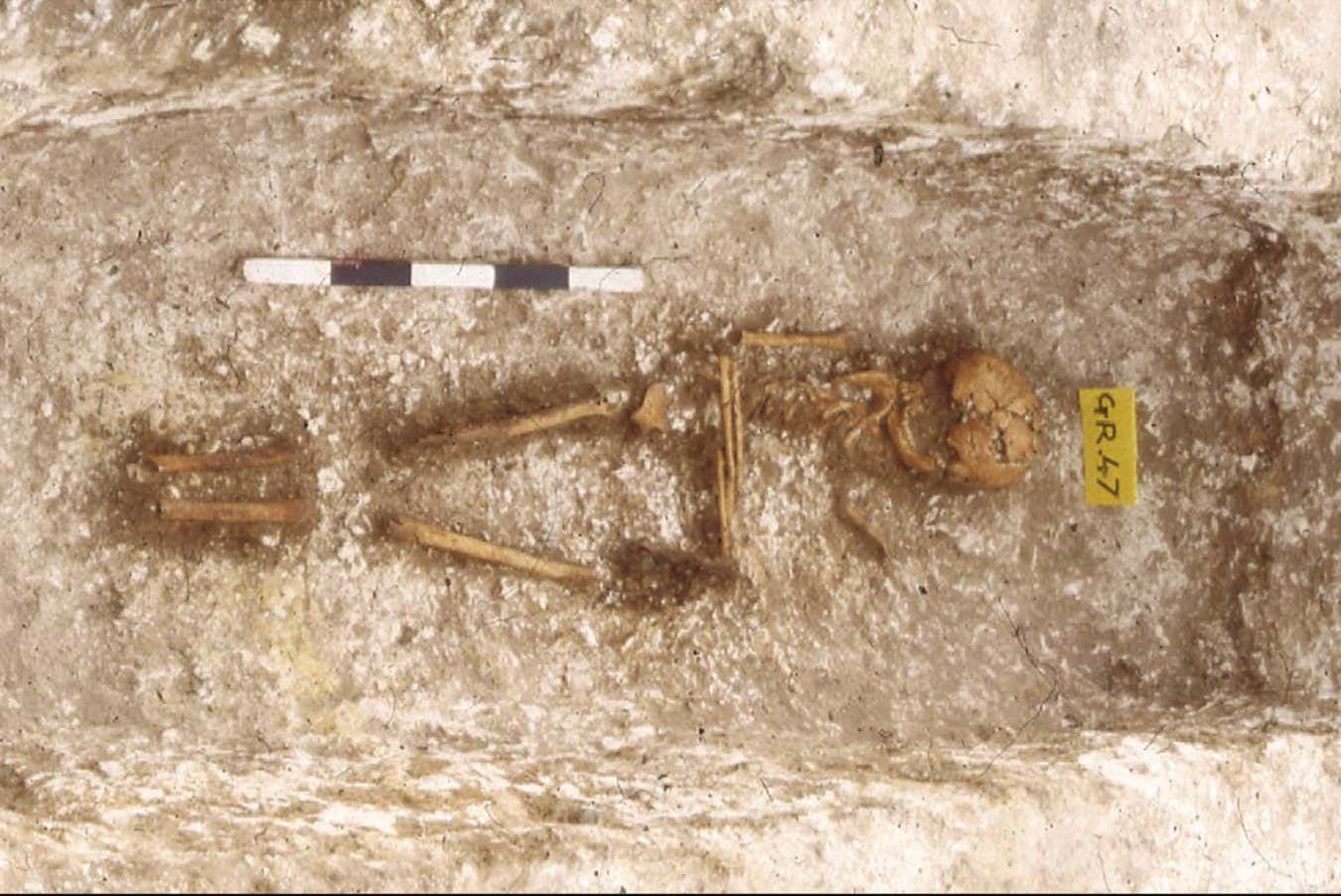 DNA analysis reveals West African ancestry in early medieval England