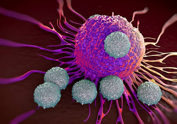 The new vaccines and treatments that could stop cancer in its tracks